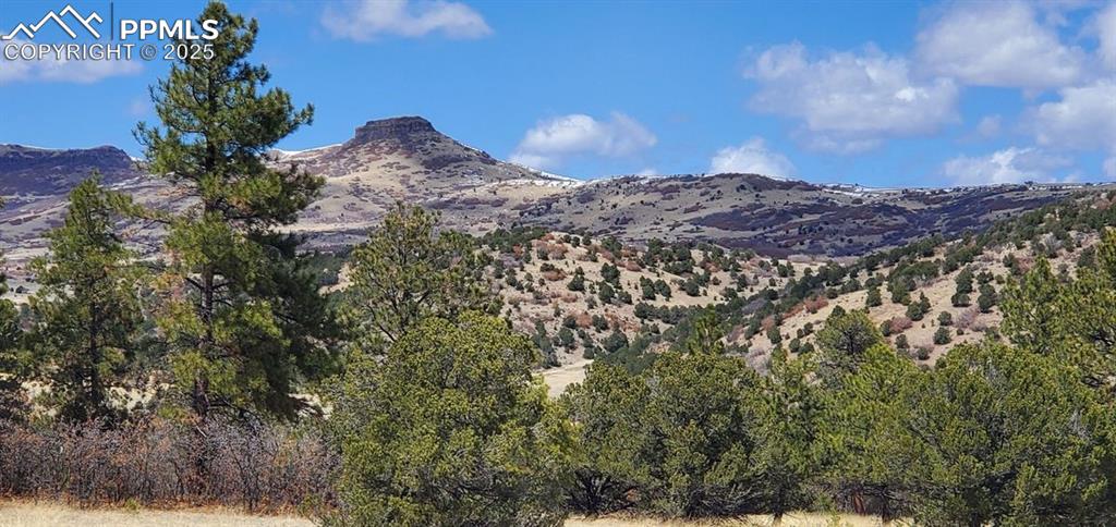 0 Cap Rock Road Canon City, CO 81212 - Photo 8 of 24