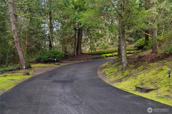 a view of a backyard with large trees