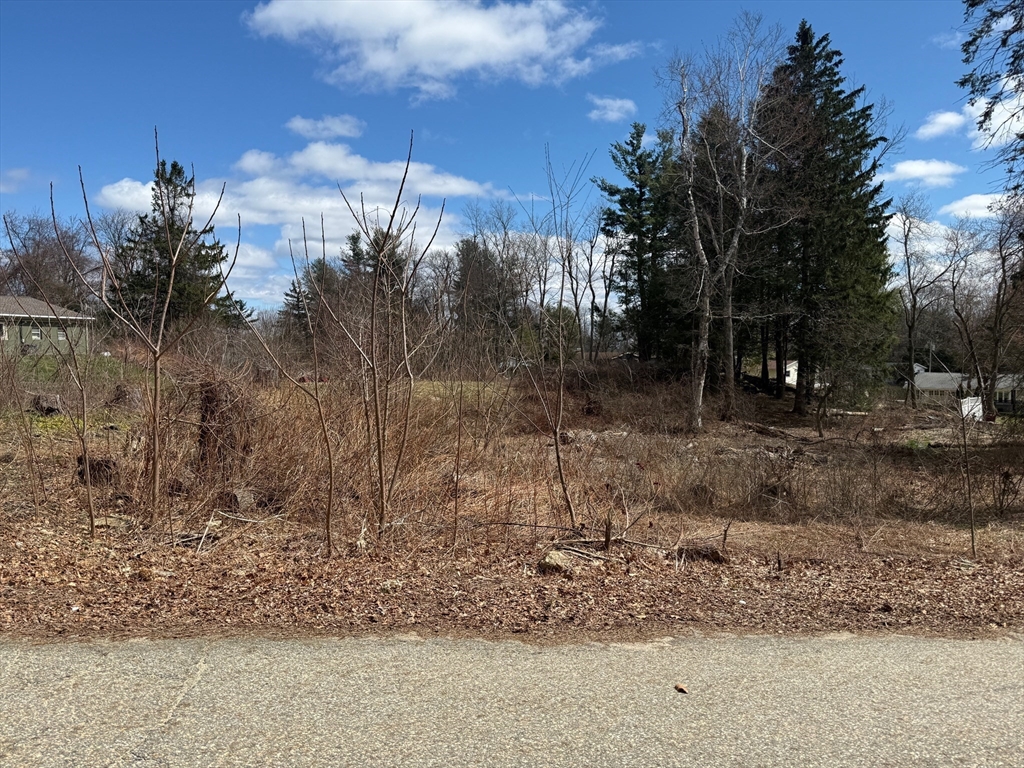 11 Walbridge Road Paxton, MA 01612 - Photo 3 of 10 a backyard of a house with lots of green space