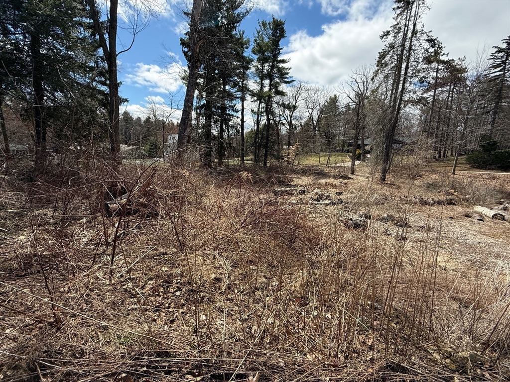 11 Walbridge Road Paxton, MA 01612 - Photo 4 of 10 a view of outdoor space with green space