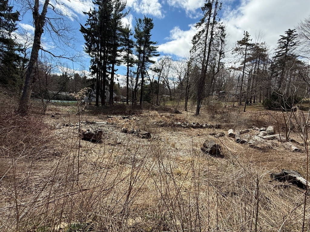 11 Walbridge Road Paxton, MA 01612 - Photo 5 of 10 a view of a yard covered in snow