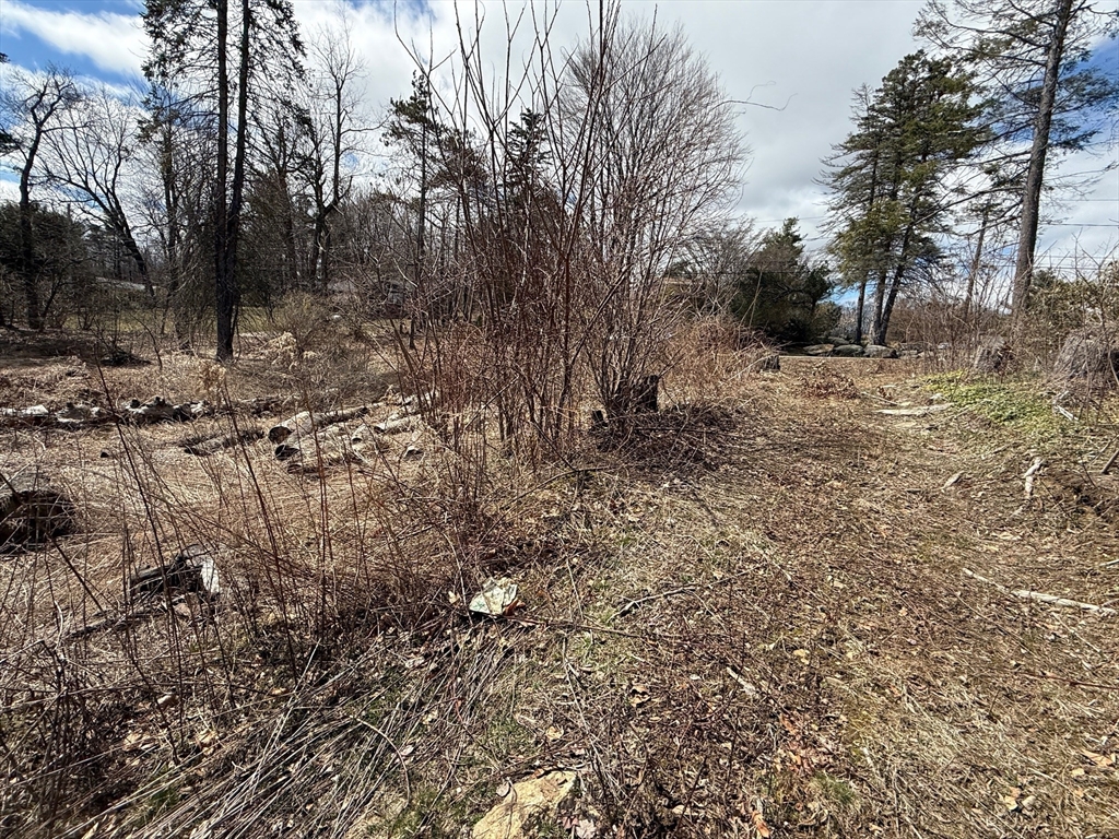 11 Walbridge Road Paxton, MA 01612 - Photo 6 of 10 a view of a yard with a tree