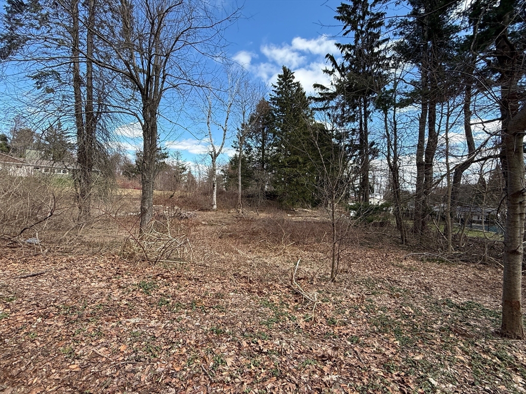 11 Walbridge Road Paxton, MA 01612 - Photo 7 of 10 a view of a forest filled with trees