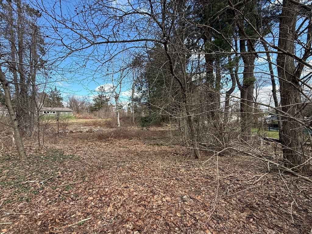 11 Walbridge Road Paxton, MA 01612 - Photo 8 of 10 a backyard of a house with lots of green space