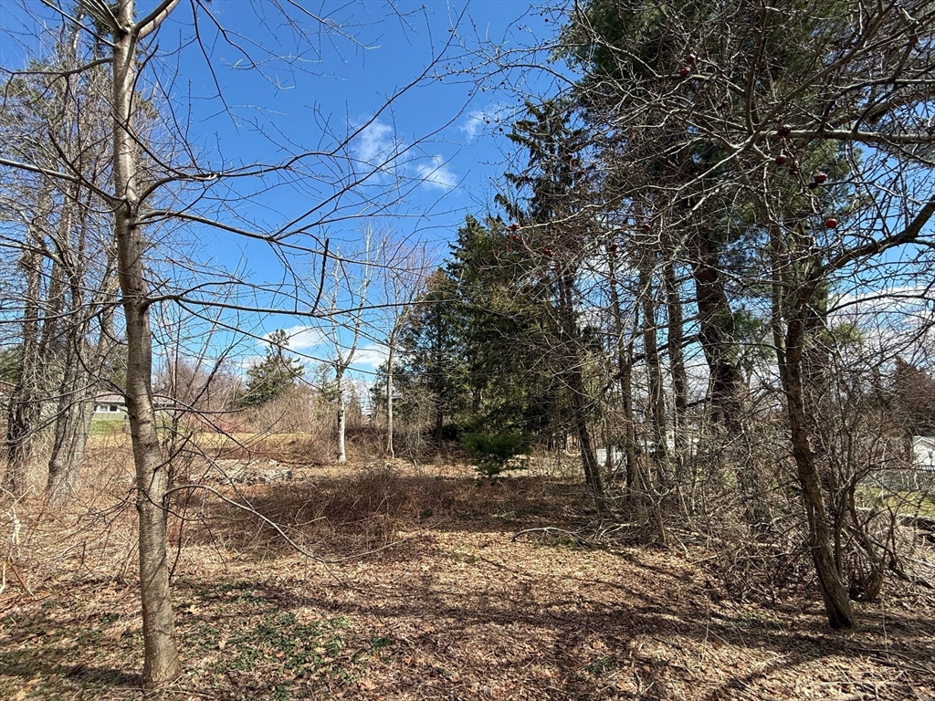 11 Walbridge Road Paxton, MA 01612 - Photo 9 of 10 a backyard of a house with large trees and outdoor seating