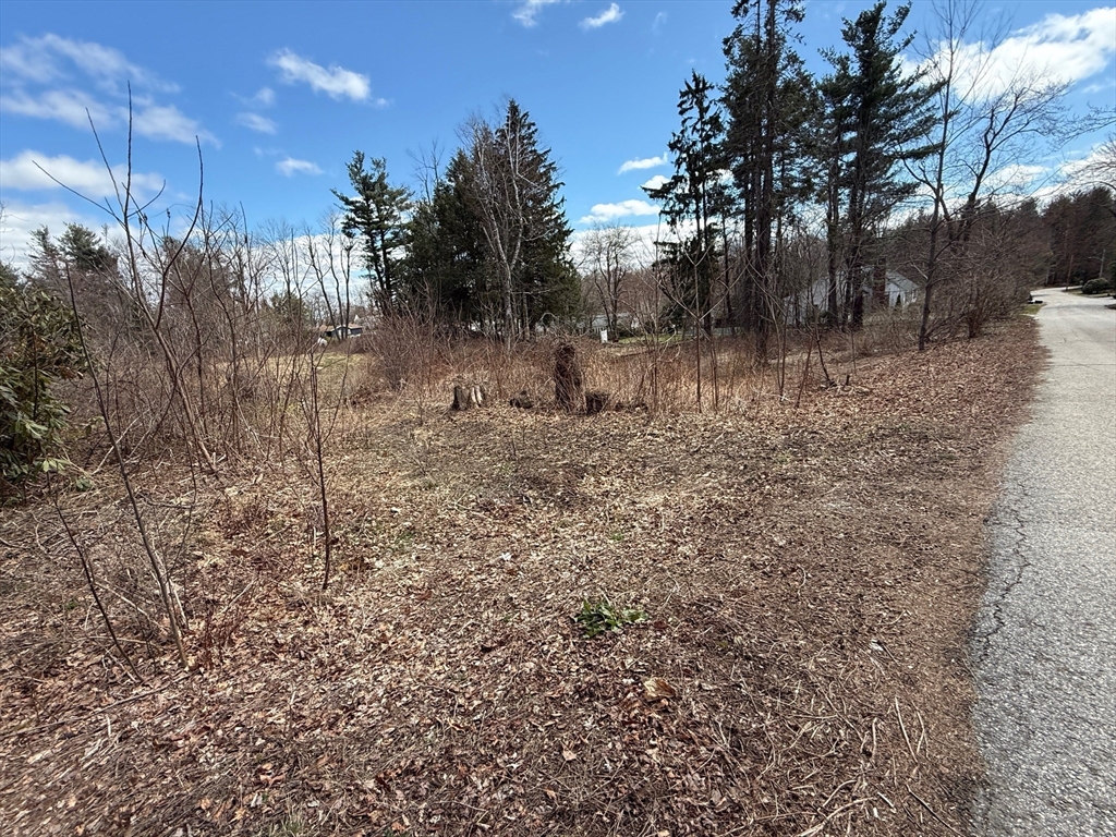 11 Walbridge Road Paxton, MA 01612 - Photo 10 of 10 a view of a yard with a tree