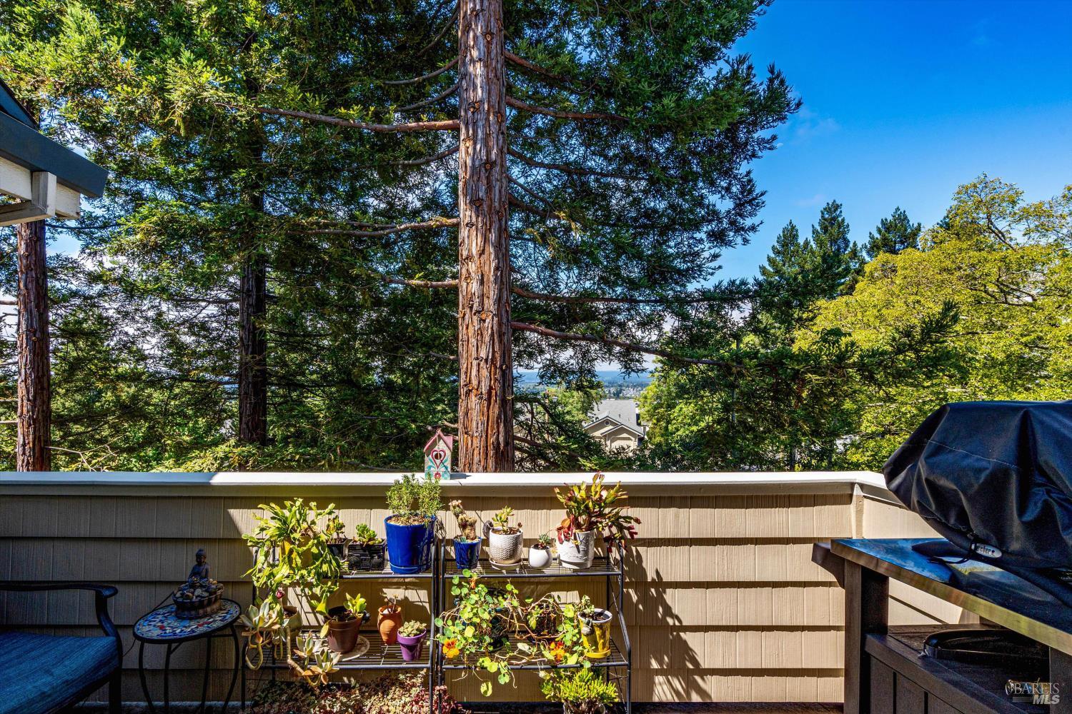 2008 Stonefield Lane Santa Rosa, CA 95403 - Photo 19 of 44 Westerly views from balcony off living area.