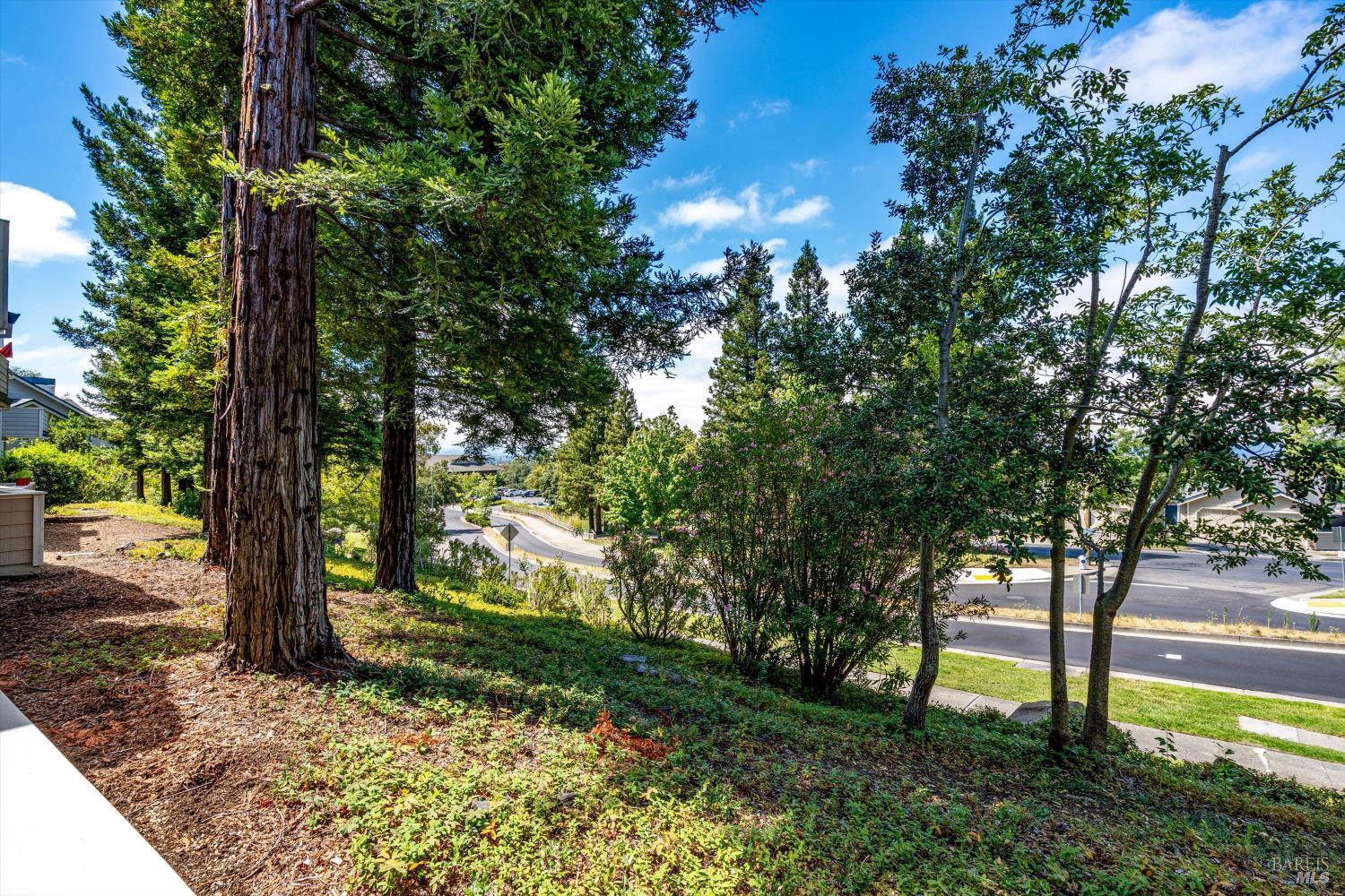 2008 Stonefield Lane Santa Rosa, CA 95403 - Photo 38 of 44