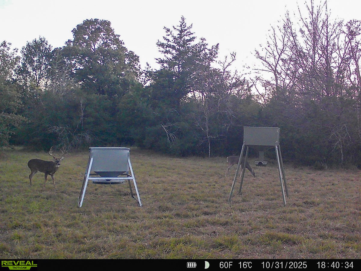 0 Burns Road Midway, TX 75852 - Photo 25 of 29 Gallery Image 25