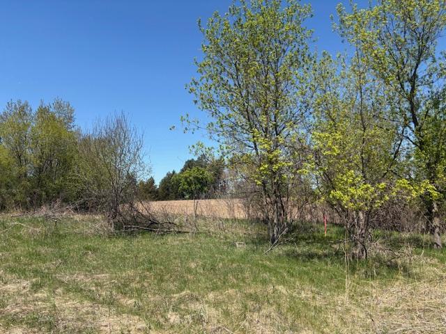 452 147th Avenue Somerset, WI 54025 - Photo 4 of 16