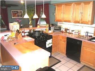 462 Thatcher Road Springfield, PA 19064 - Photo 4 of 11 Kitchen