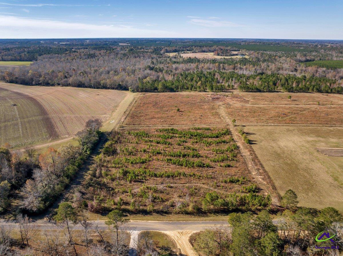 245 Pace Road Cochran, GA 31014 - Photo 8 of 18
