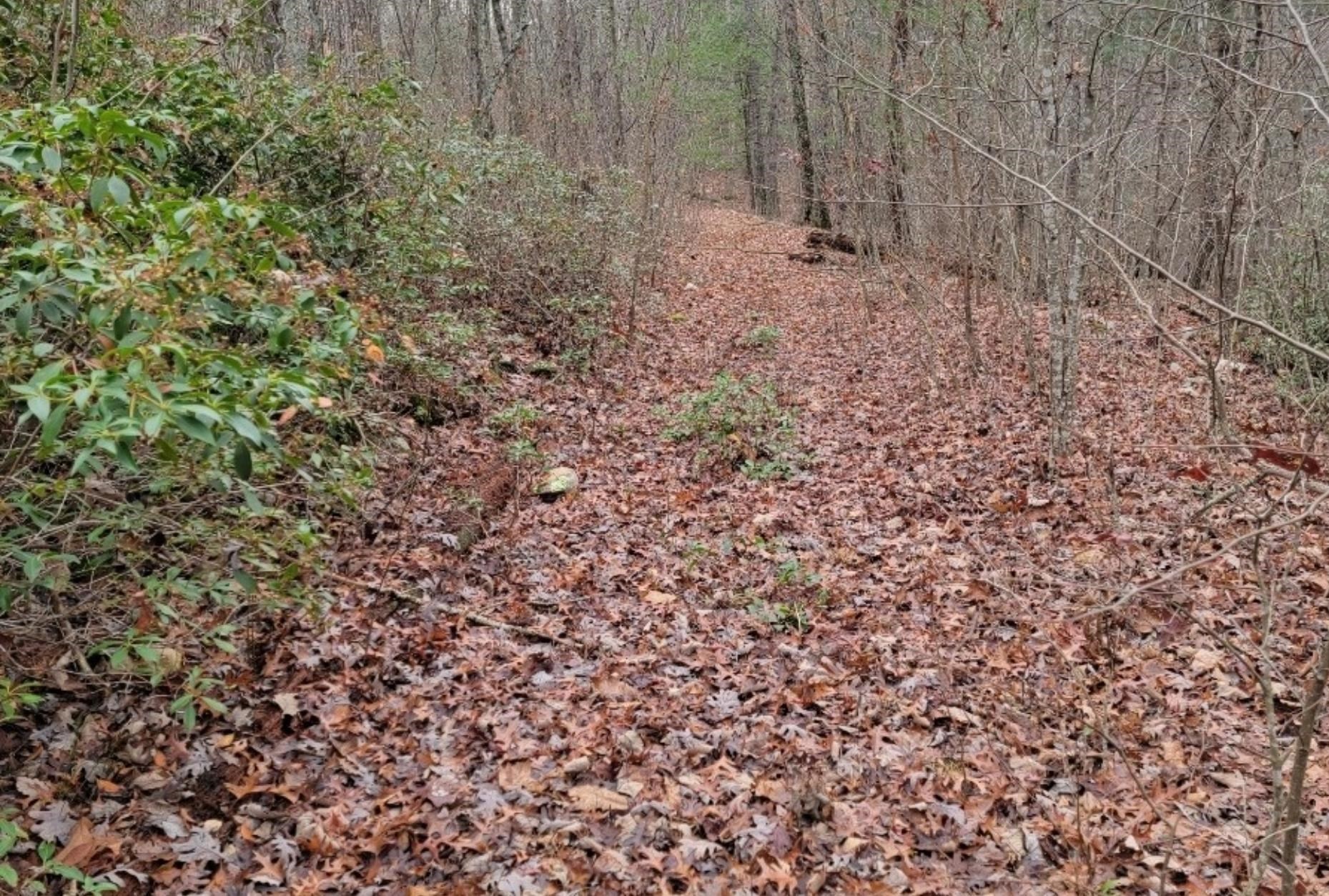 Tbd Miracle Ridge Road Elkton, VA 22827 - Photo 19 of 32 a view of small space