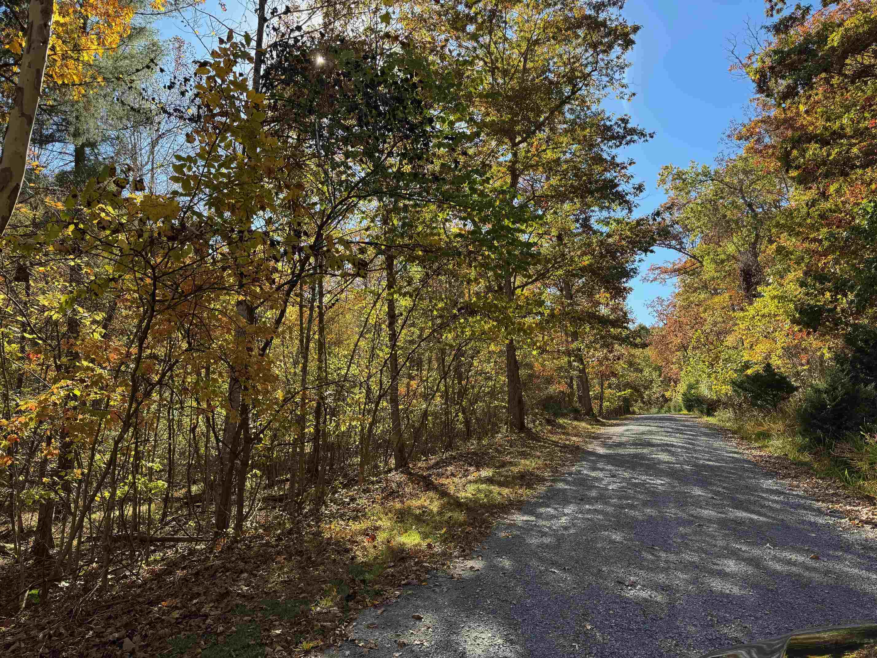Tbd Miracle Ridge Road Elkton, VA 22827 - Photo 2 of 32 a view of dirt field with trees in the background