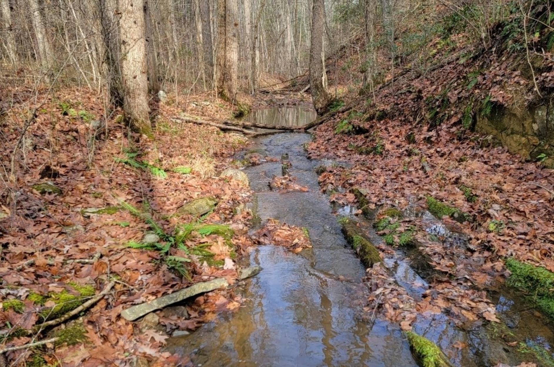 Tbd Miracle Ridge Road Elkton, VA 22827 - Photo 25 of 32 a view of outside area