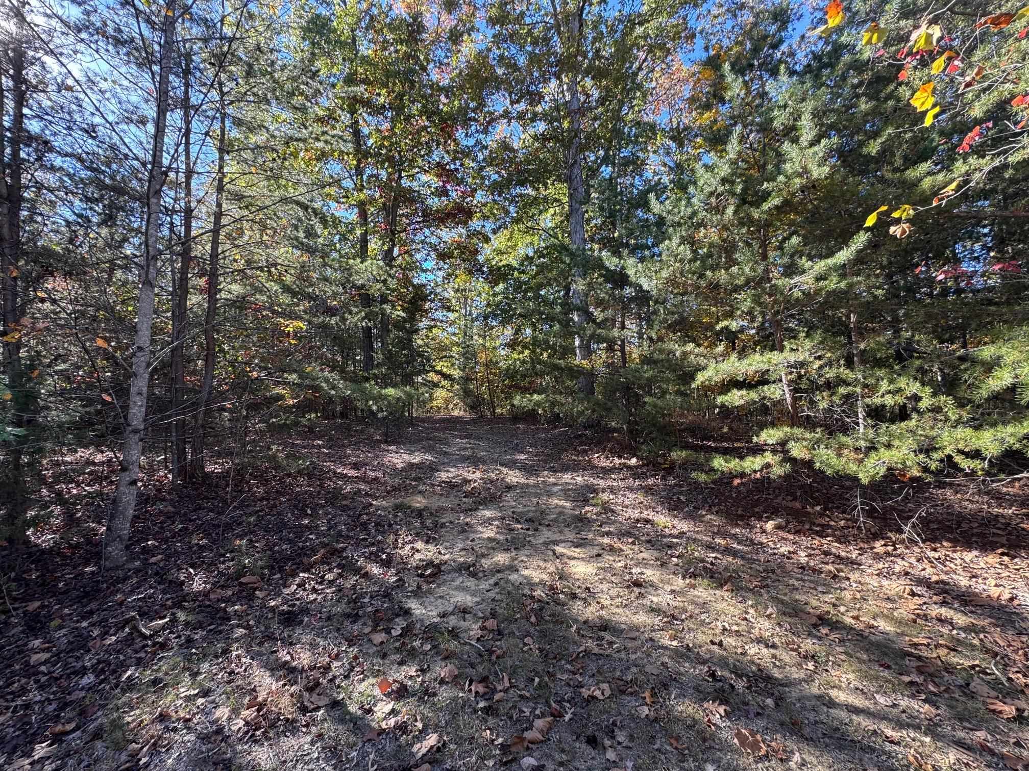 Tbd Miracle Ridge Road Elkton, VA 22827 - Photo 27 of 32 a view of outdoor space and trees