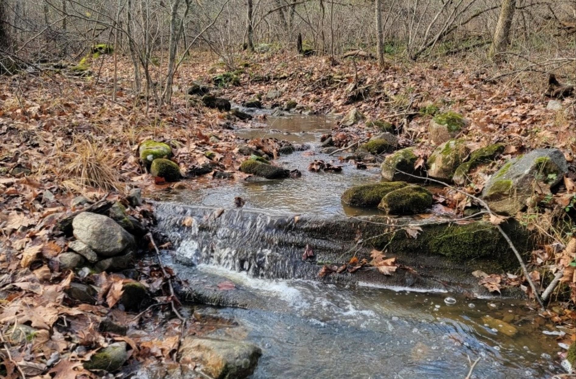 Tbd Miracle Ridge Road Elkton, VA 22827 - Photo 6 of 32 a view of outdoor space