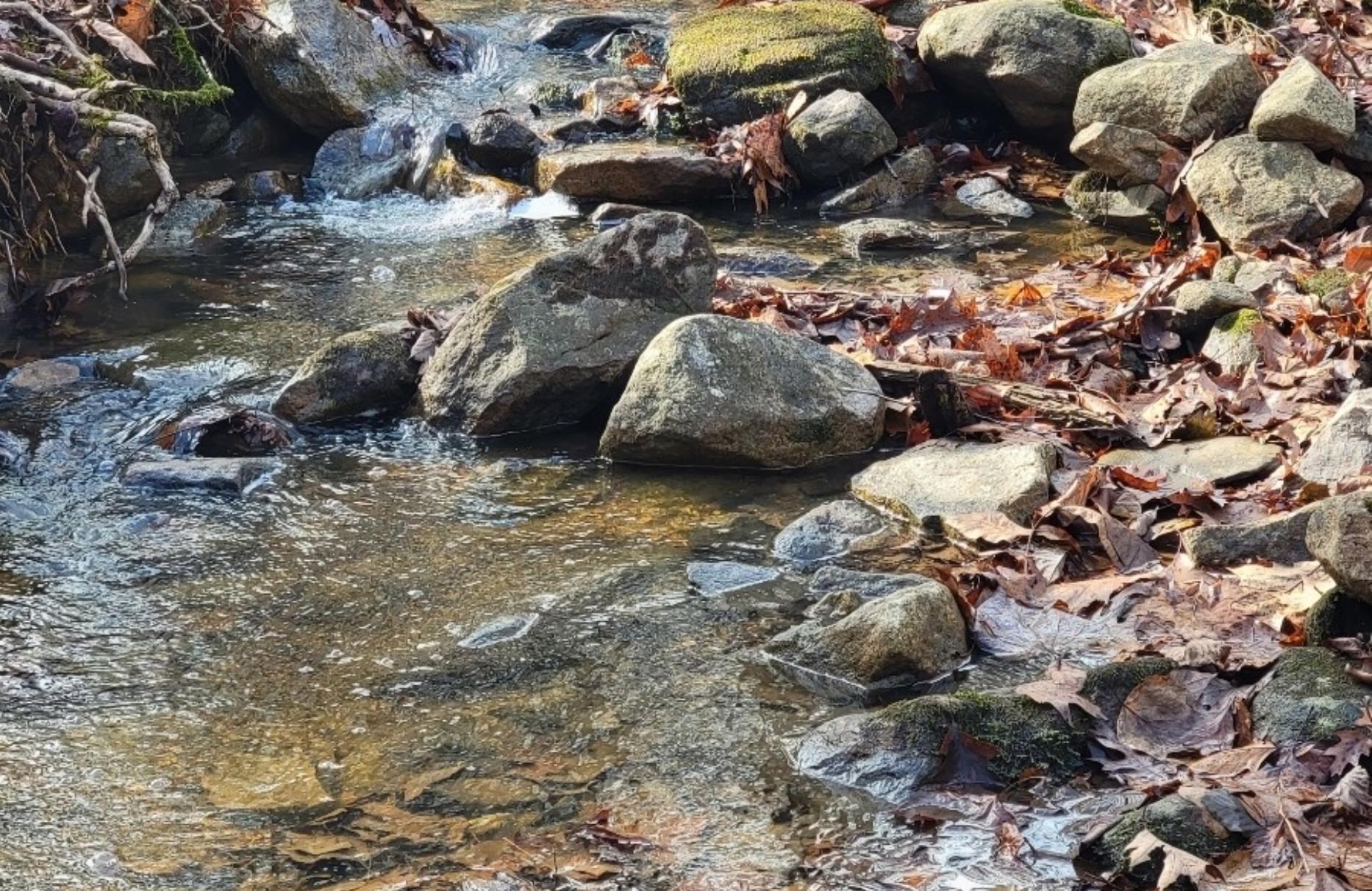 Tbd Miracle Ridge Road Elkton, VA 22827 - Photo 9 of 32 a view of outdoor space