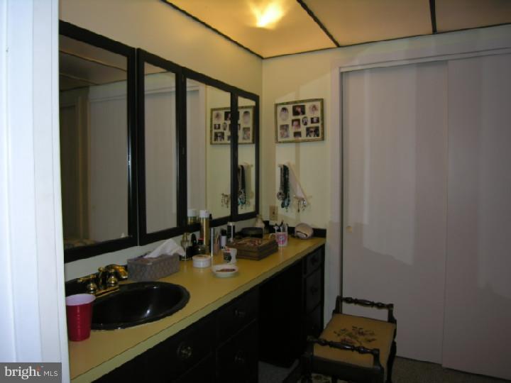 342 Franklin Road Bechtelsville, PA 19505 - Photo 21 of 25 Gallery Image 21
