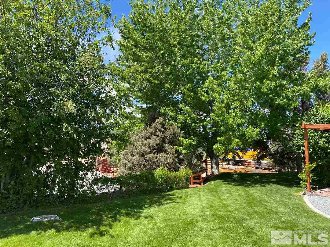 15920 Toll Road Reno, NV 89521 - Photo 6 of 24 a green field with lots of trees