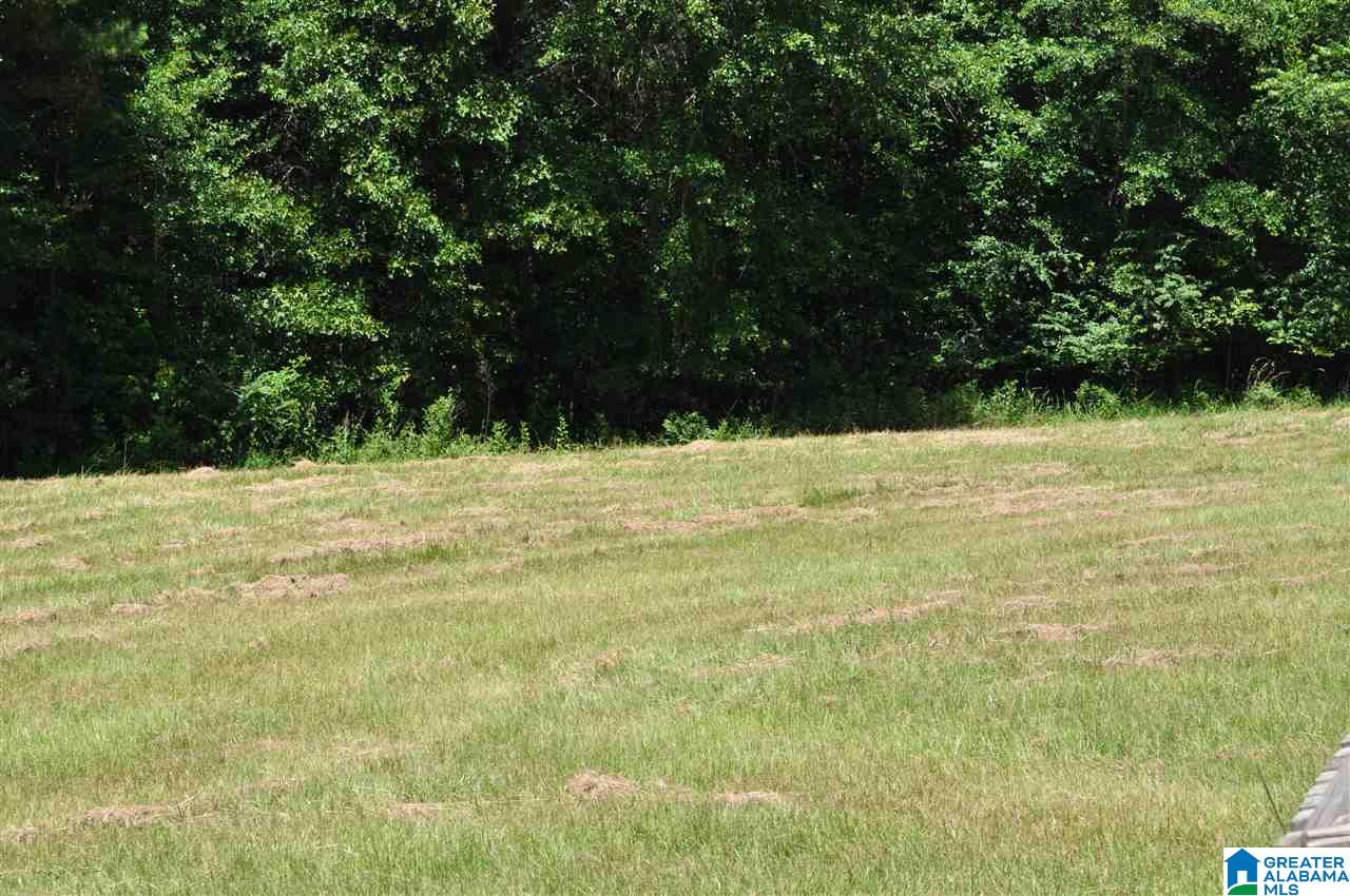 9488 County Road 9 Clanton, AL 35045 - Photo 5 of 18