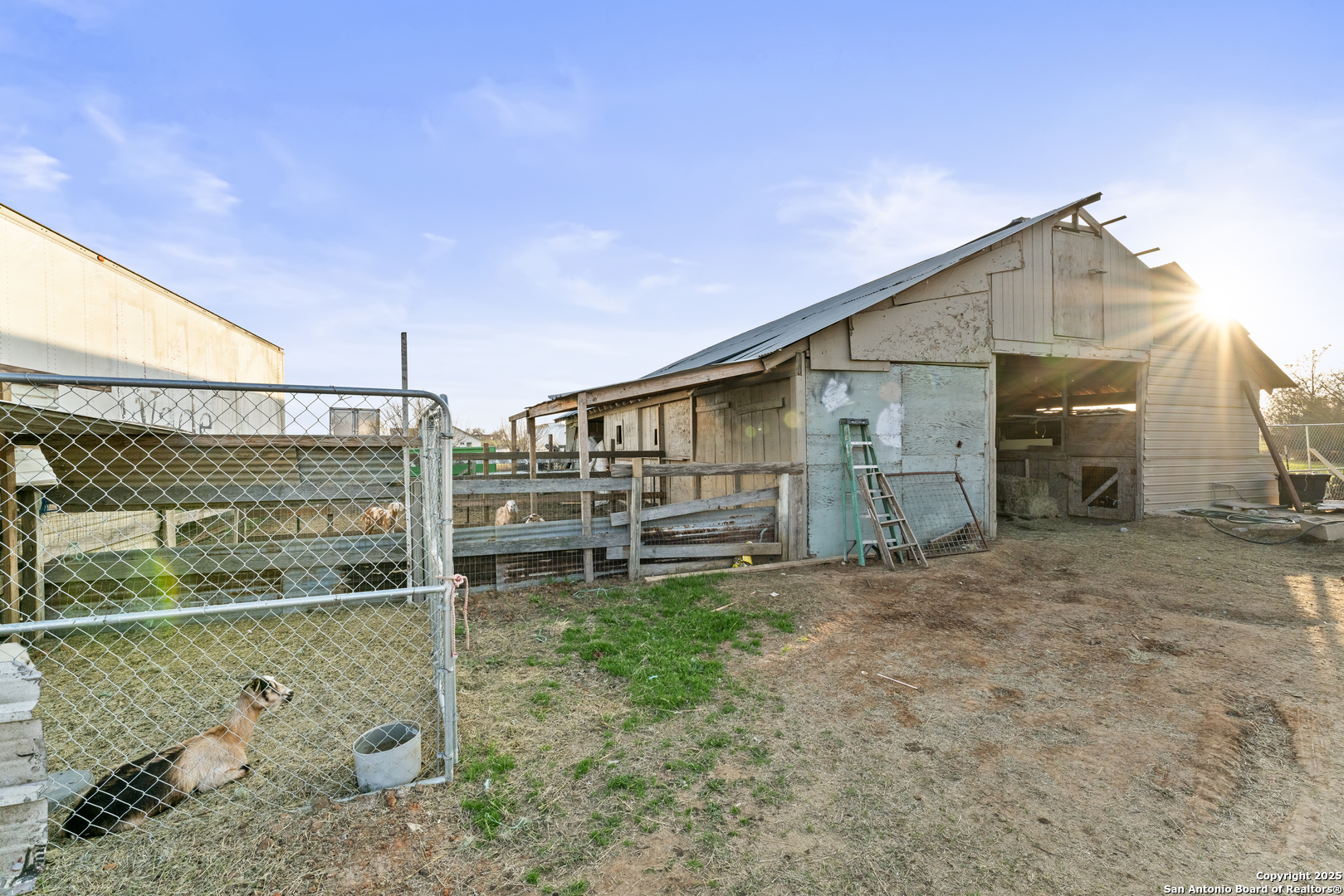 16851 Griffin Road, Unit 2 Atascosa, TX 78002 - Photo 34 of 37 a backyard of a house with a large tree and wooden fence