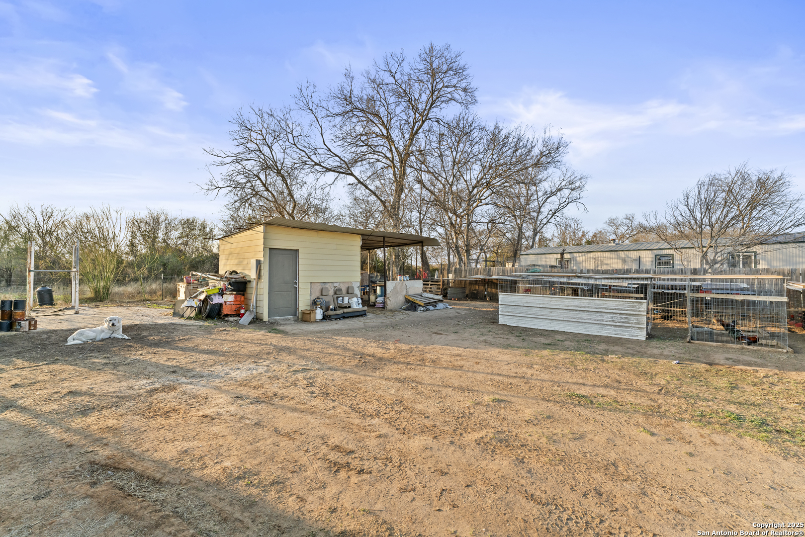 16851 Griffin Road, Unit 2 Atascosa, TX 78002 - Photo 36 of 37 a view of backyard of the house