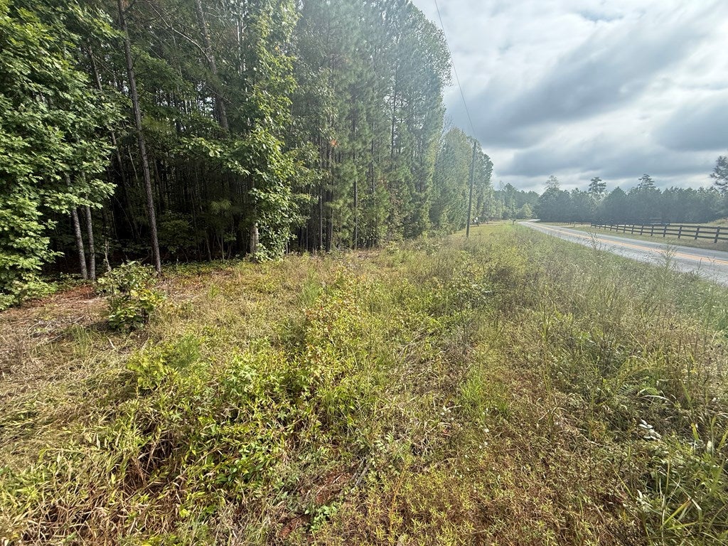 Westpoint Stevens Road, Unit 10 Drakes Branch, VA 23937 - Photo 3 of 13 Gallery Image 3