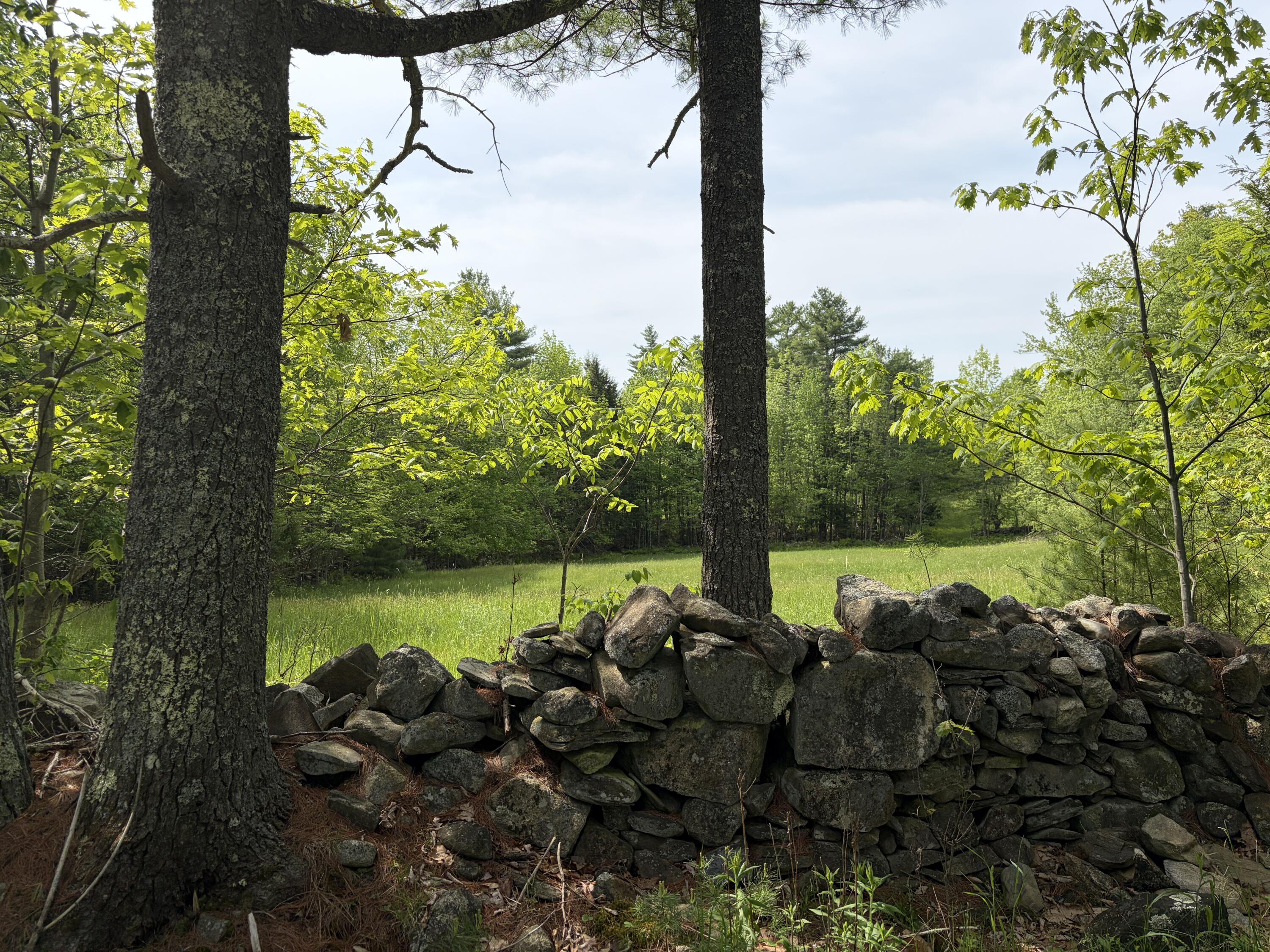 Lot 1 Waldoboro Road Washington, ME 04574 - Photo 3 of 39