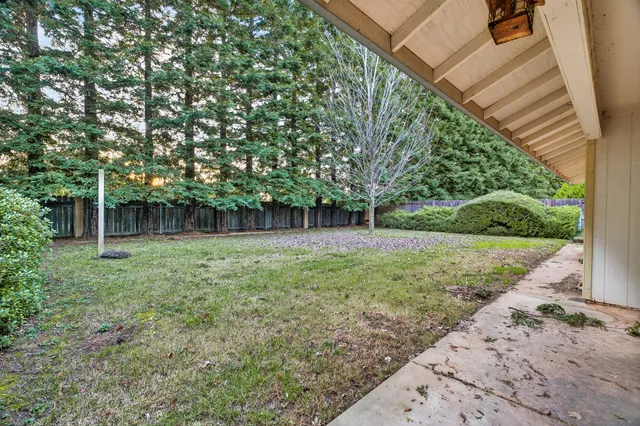 a backyard of a house with plants and large tree