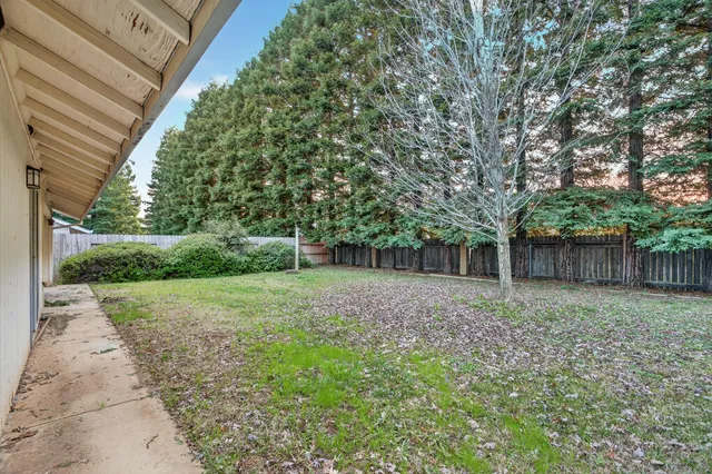 a view of a backyard with a trees