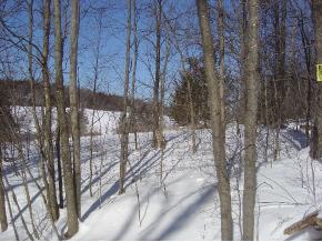 Singing Cedars Road Orwell, VT 05760 - Photo 4 of 5