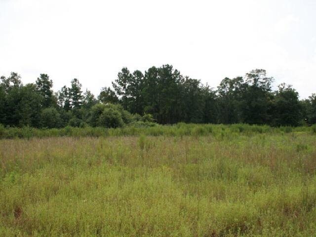 0 Pleasant Acres Road Springfield, GA 31312 - Photo 1 of 1 a view of a lake with a yard