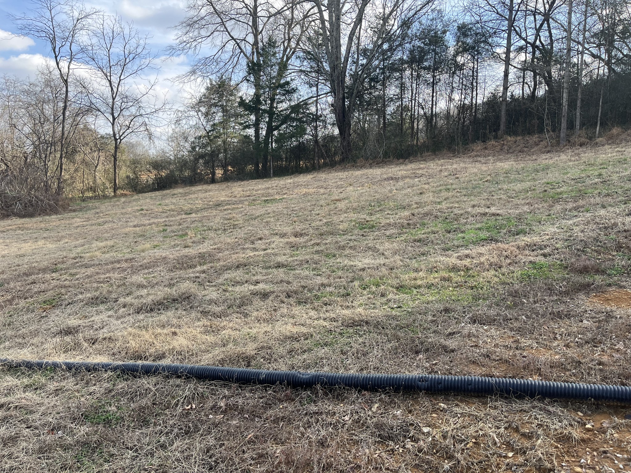 280 Ross Road Pulaski, TN 38478 - Photo 13 of 19