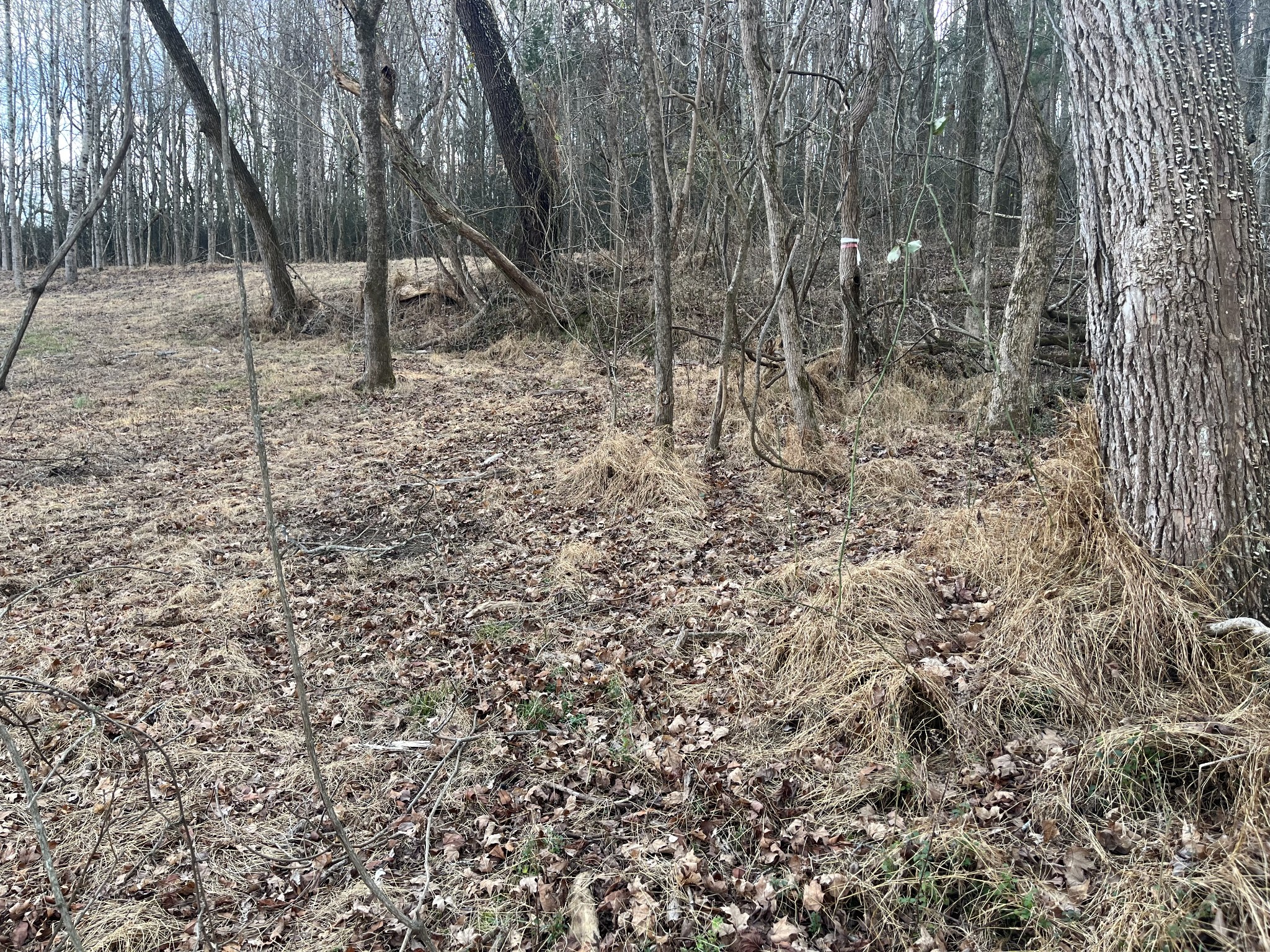 280 Ross Road Pulaski, TN 38478 - Photo 14 of 19