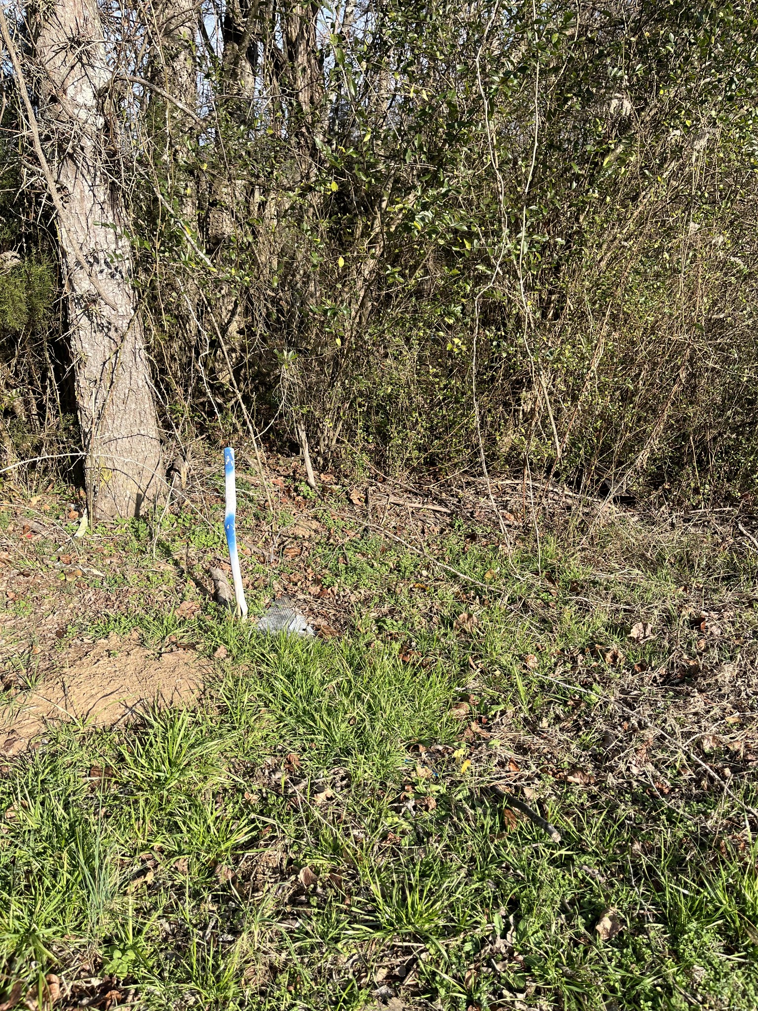 280 Ross Road Pulaski, TN 38478 - Photo 15 of 19