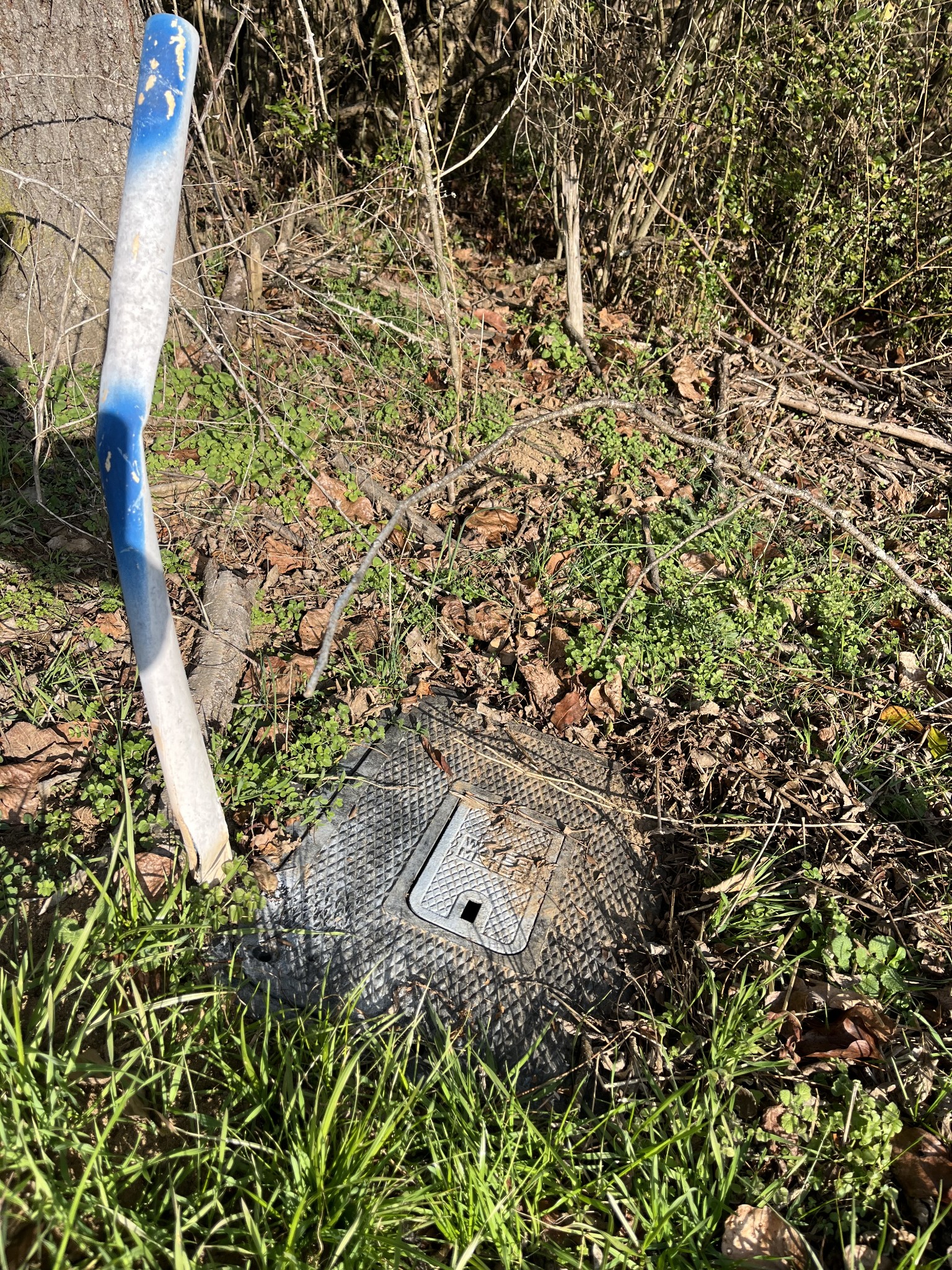 280 Ross Road Pulaski, TN 38478 - Photo 16 of 19