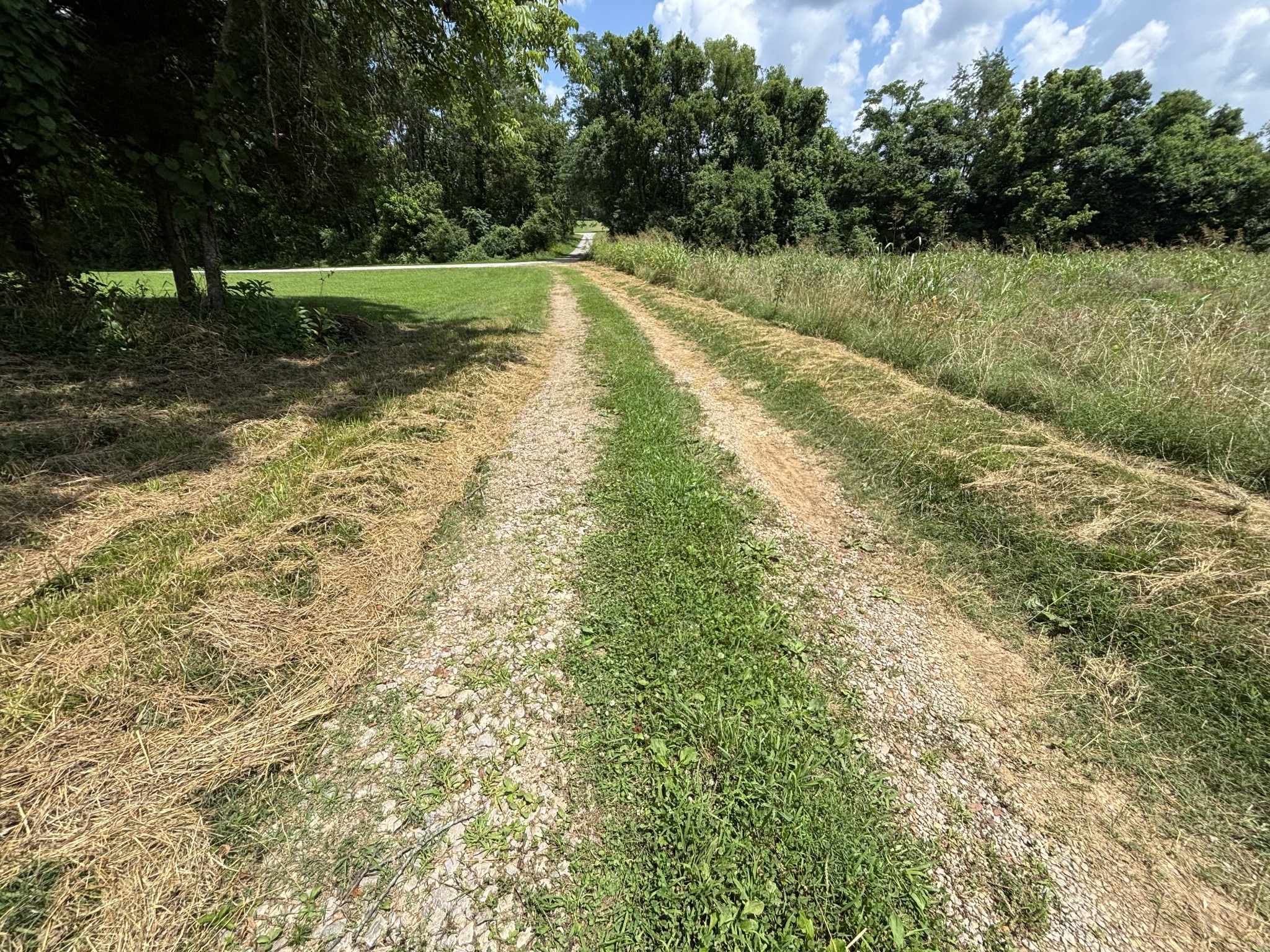 280 Ross Road Pulaski, TN 38478 - Photo 17 of 19