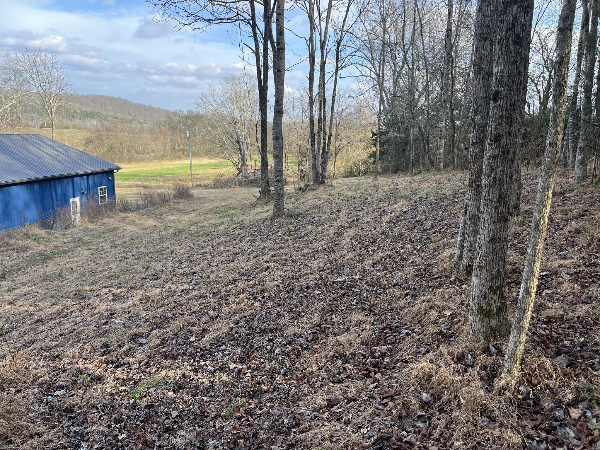 280 Ross Road Pulaski, TN 38478 - Photo 7 of 19