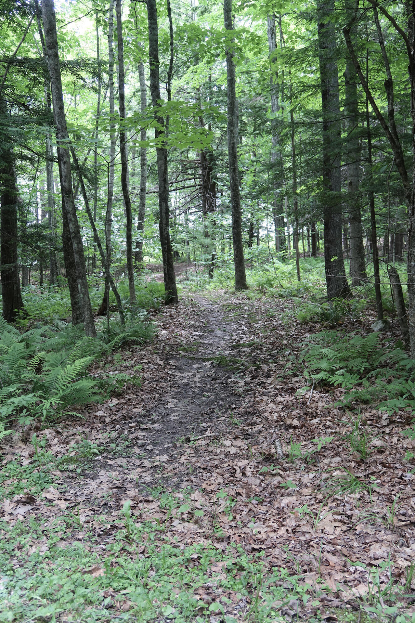 16 Lovejoy Lane Readfield, ME 04355 - Photo 47 of 63