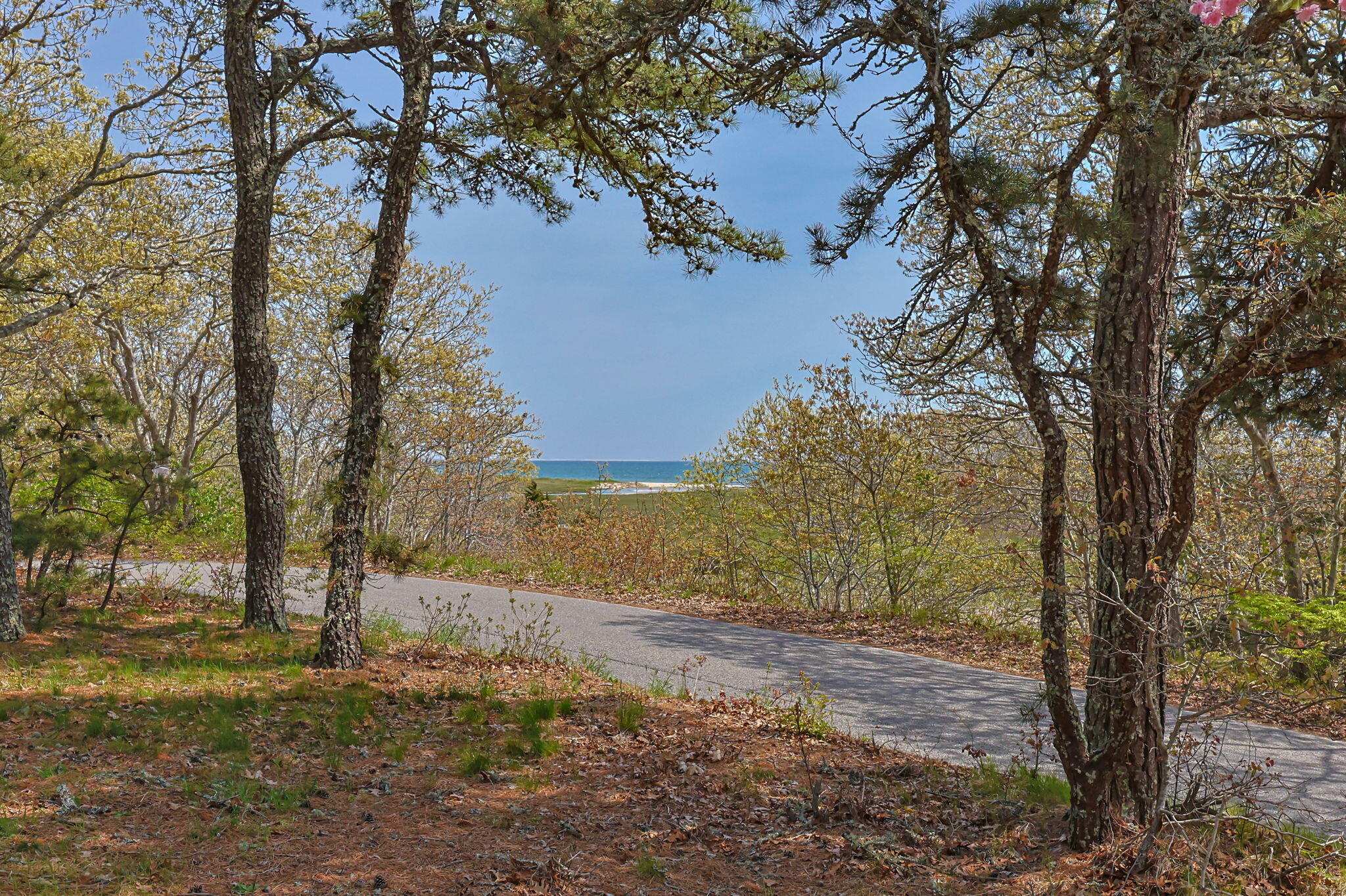 2 Brettwood Road Harwich, MA 02645 - Photo 35 of 42 view