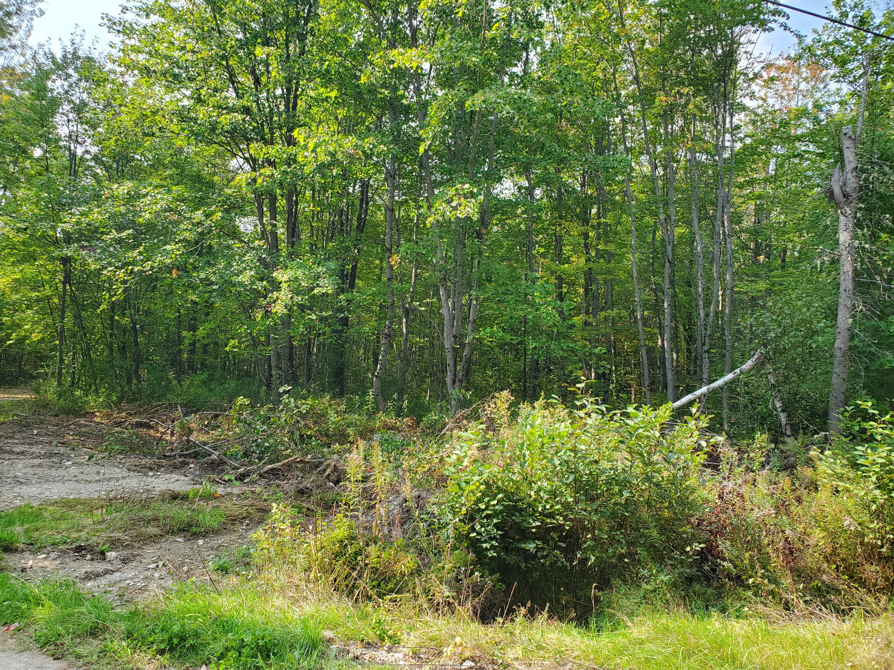 Lot #7 Emery Farm Road Medford, ME 04463 - Photo 16 of 17 20230925_113346