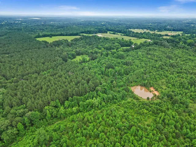 a view of a yard and an ocean