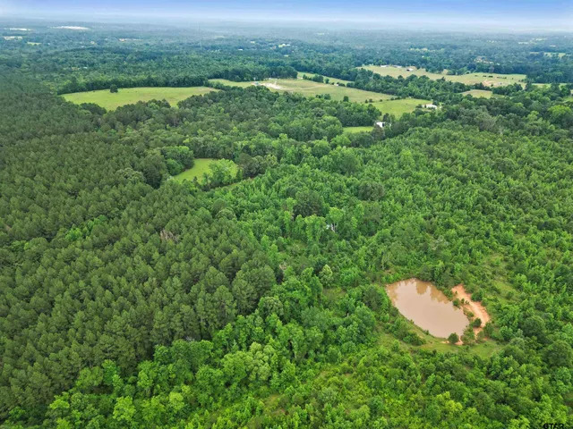 an aerial view of a house with a yard and lake view