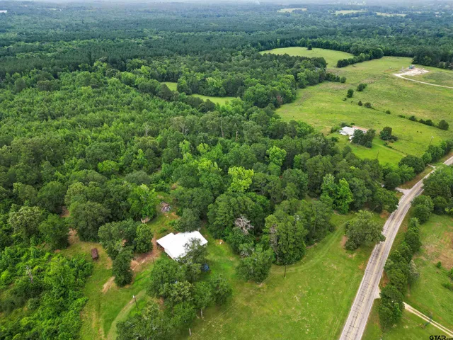 a view of a lush green forest with lots of trees