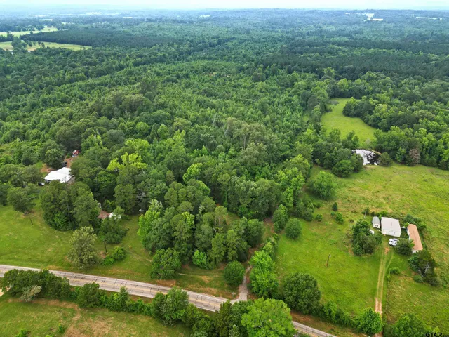 an aerial view of residential houses with outdoor space and trees