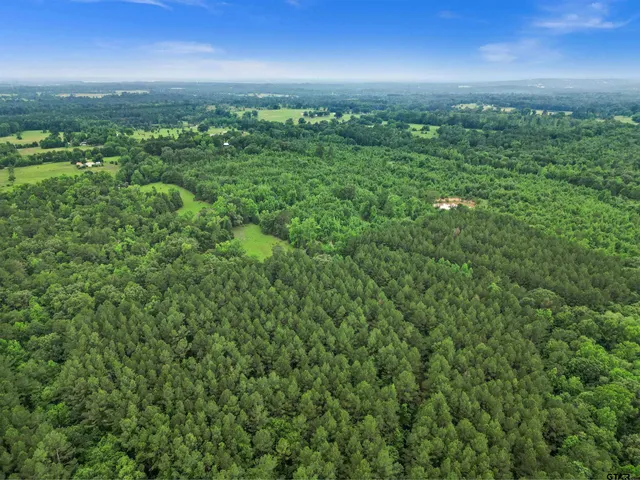 an aerial view of residential houses with outdoor space and trees