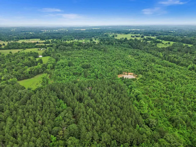 an aerial view of residential houses with outdoor space and trees