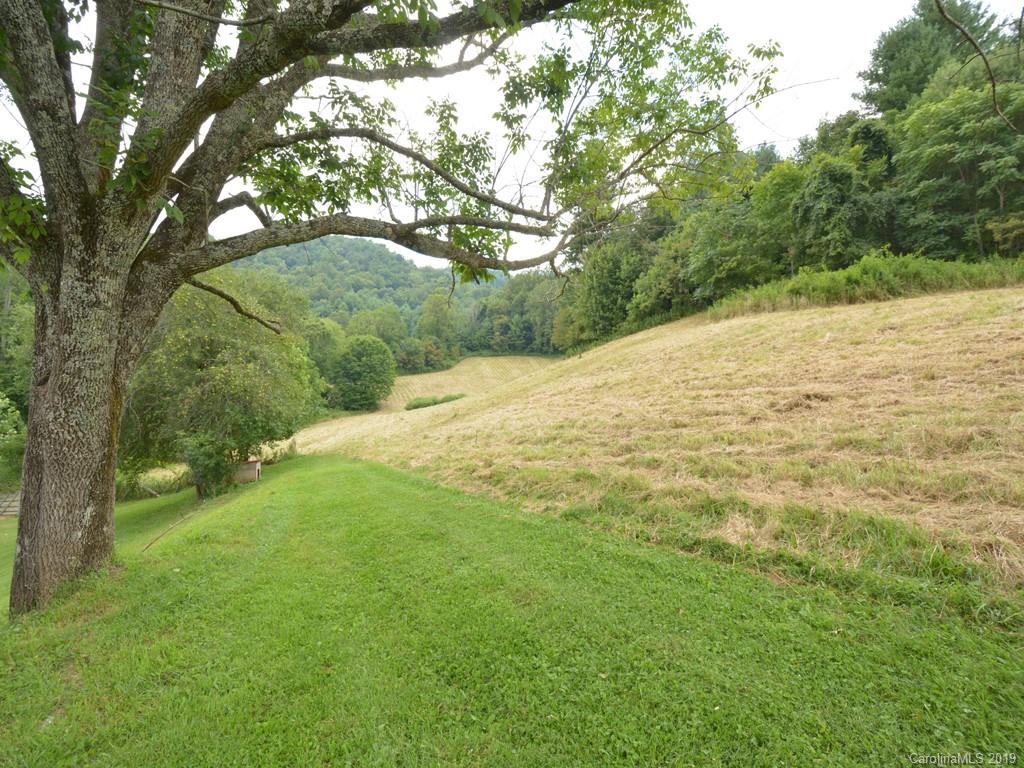 a view of a yard with a tree