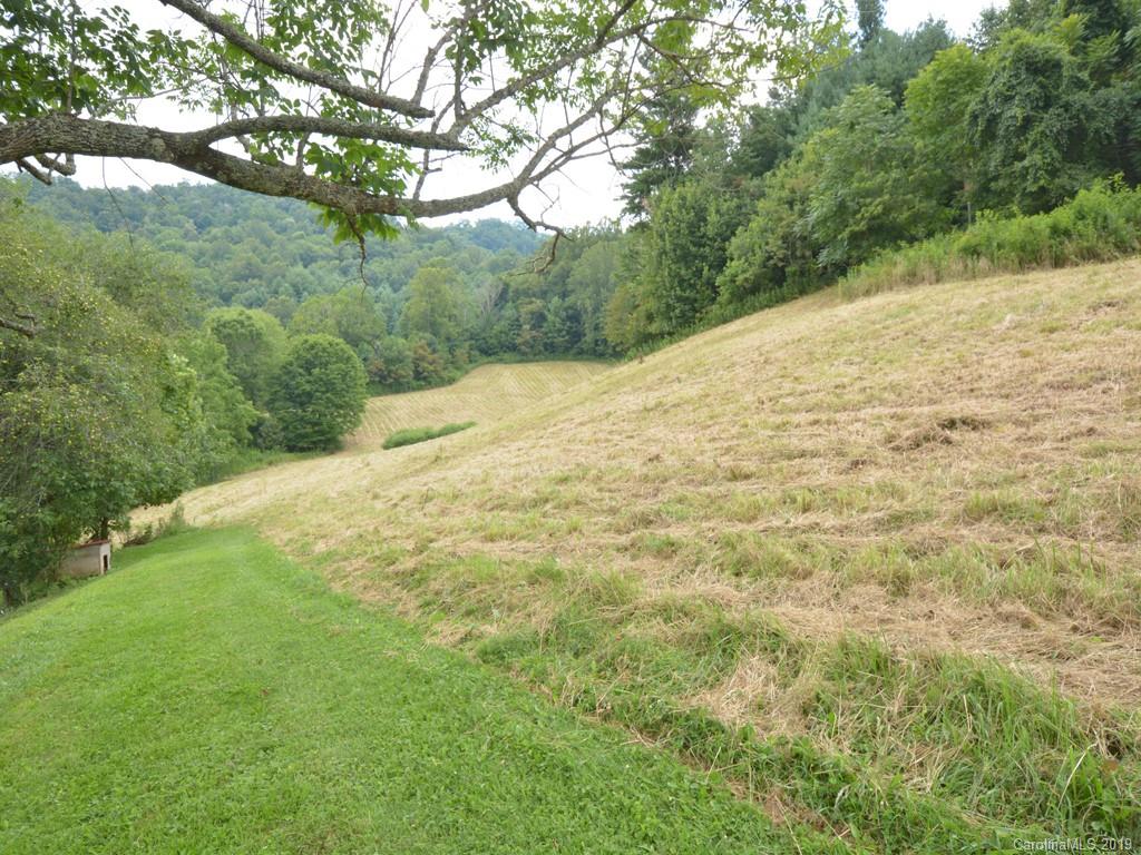 0 George McKinney Road Bakersville, NC 28705 - Photo 2 of 3 a view of a yard with a tree
